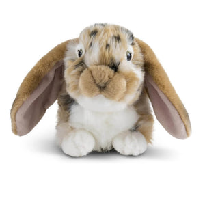 Soft Toy Bunny - Dutch Lop Eared Rabbit by Living Nature Naturli