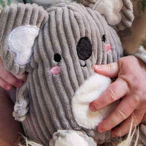 Koala Buddies Sensory Set Plush by Tiger Tribe